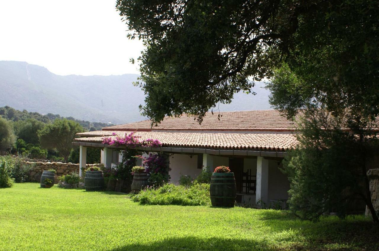 Agriturismo Su Pirastru Sa Castanza Exterior photo